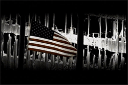 bush9-11.gif