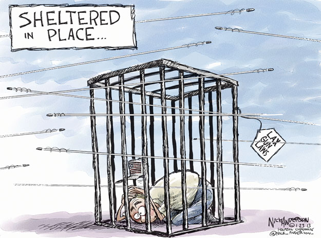 RealClearPolitics - Cartoons - Nick Anderson - 01/23/2013