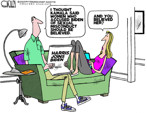 RealClearPolitics - Cartoons of the Week - Steve Kelley for Aug 14 ...